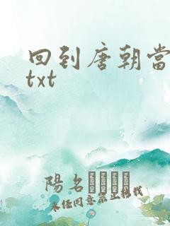 回到唐朝当皇帝txt