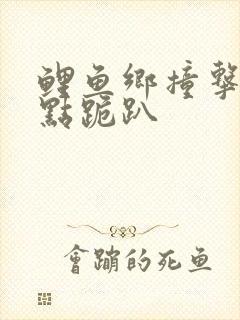 鲤鱼乡撞击敏感点跪趴