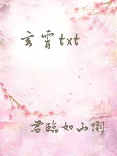 玄霄txt