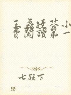 王磊晓芬小说免费阅读第一章