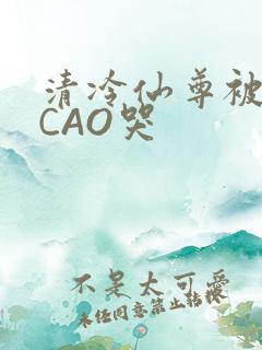 清冷仙尊被强制CAO哭