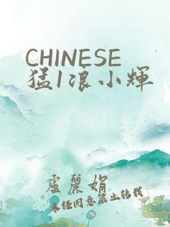 CHINESE猛1浪小辉
