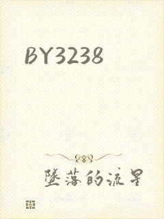 BY3238