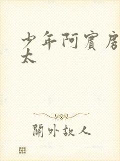 少年阿宾房东太太