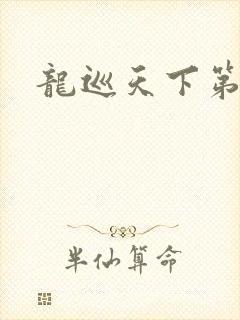 龙巡天下第四部