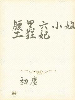 腹黑六小姐 特工狂妃