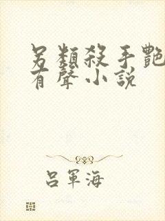 另类杀手艳福星有声小说