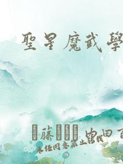 圣星魔武学院