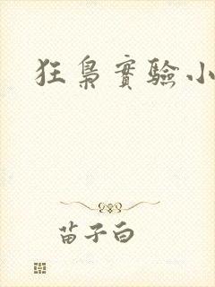 狂枭实验小白鼠