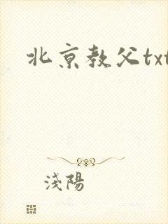 北京教父txt