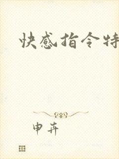 快感指令特别篇