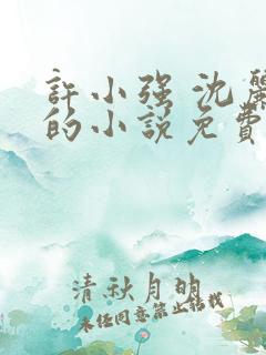 许小强 沈丽娟的小说免费阅读