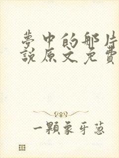 梦中的那片海小说原文免费阅读