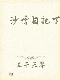 沙僧日记下载