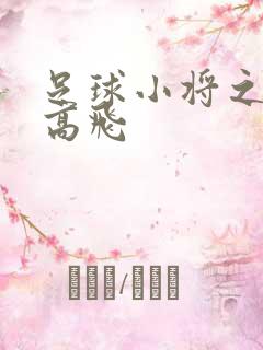 足球小将之展翅高飞