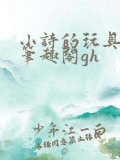 小诗的玩具日记笔趣阁gh
