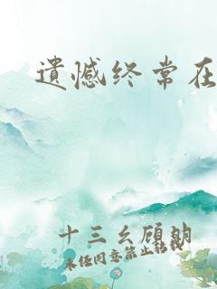 遗憾终常在小说