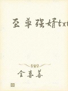 至尊强婿txt