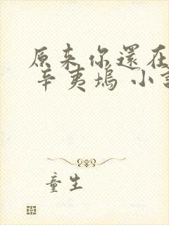 原来你还在这里 辛夷坞 小说