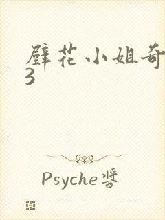 壁花小姐奇遇记3