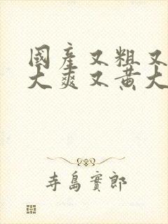 国产又粗又猛又大爽又黄大爷