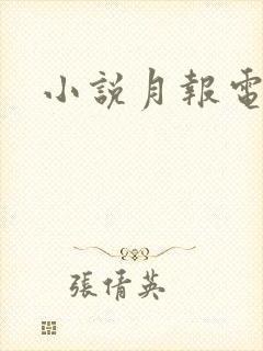 小说月报电子版