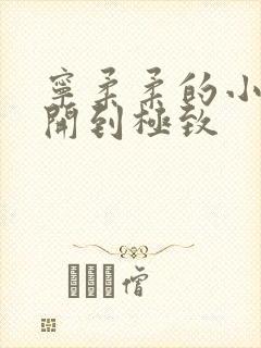 宁柔柔的小泬撑开到极致