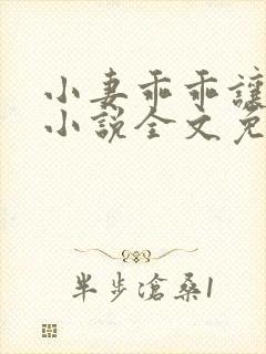 小妻乖乖让我宠小说全文免费阅读