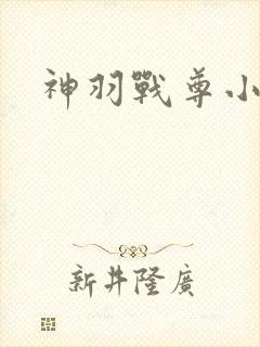 神羽战尊小说