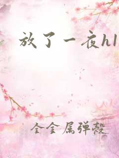 放了一夜h11