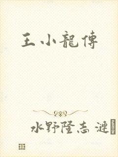 王小龙传
