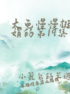 大龟慢慢挺进张娟的第19集