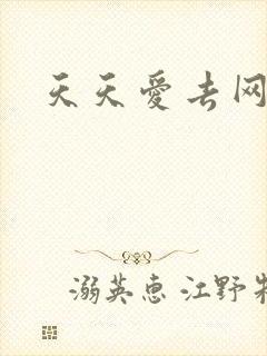 天天爱去网
