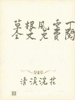 草根风云丁长生全文免费阅读