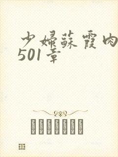 少妇苏霞肉欲第501章