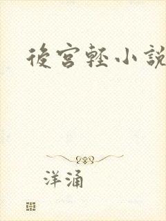 后宫轻小说