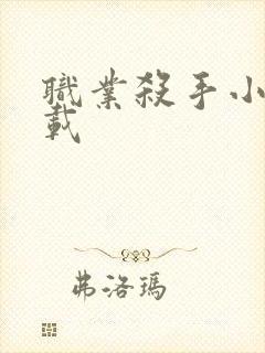 职业杀手小说下载