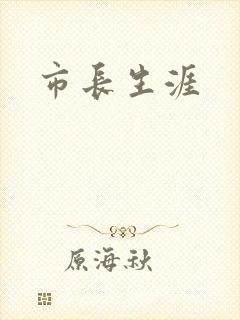 市长生涯
