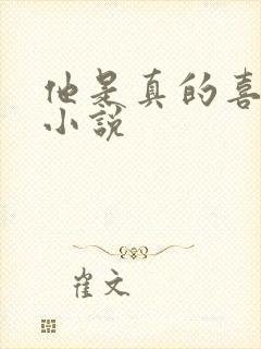 他是真的喜欢你小说