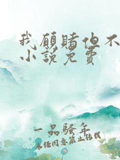 我愿赌但不服输小说免费