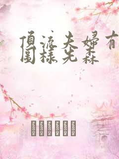 顶流夫妇有点甜图样先森