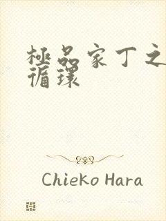 极品家丁之因果循环