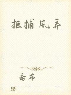 拒捕 风弄