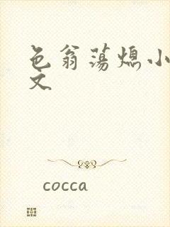 色翁荡熄小说全文