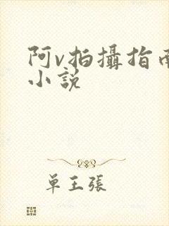 阿v拍摄指南说小说
