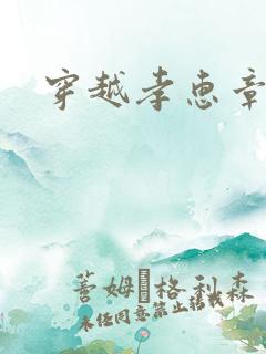 穿越孝惠章皇后