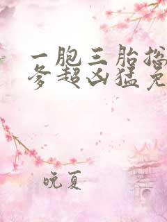 一胞三胎总裁爹爹超凶猛免费阅读