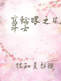 写轮眼之风流圣斗士