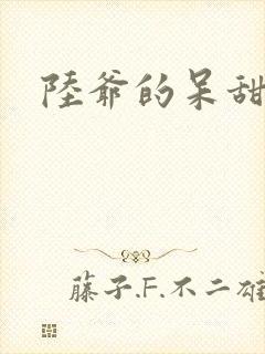 陆爷的呆甜萌妻