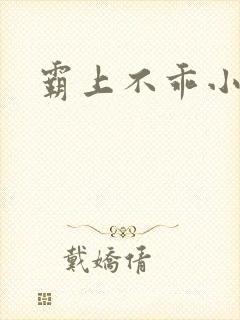 霸上不乖小逃妻